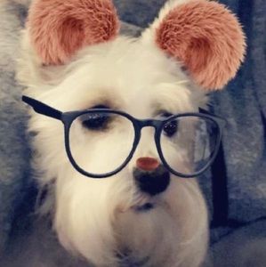 Meet your Posher, Susan